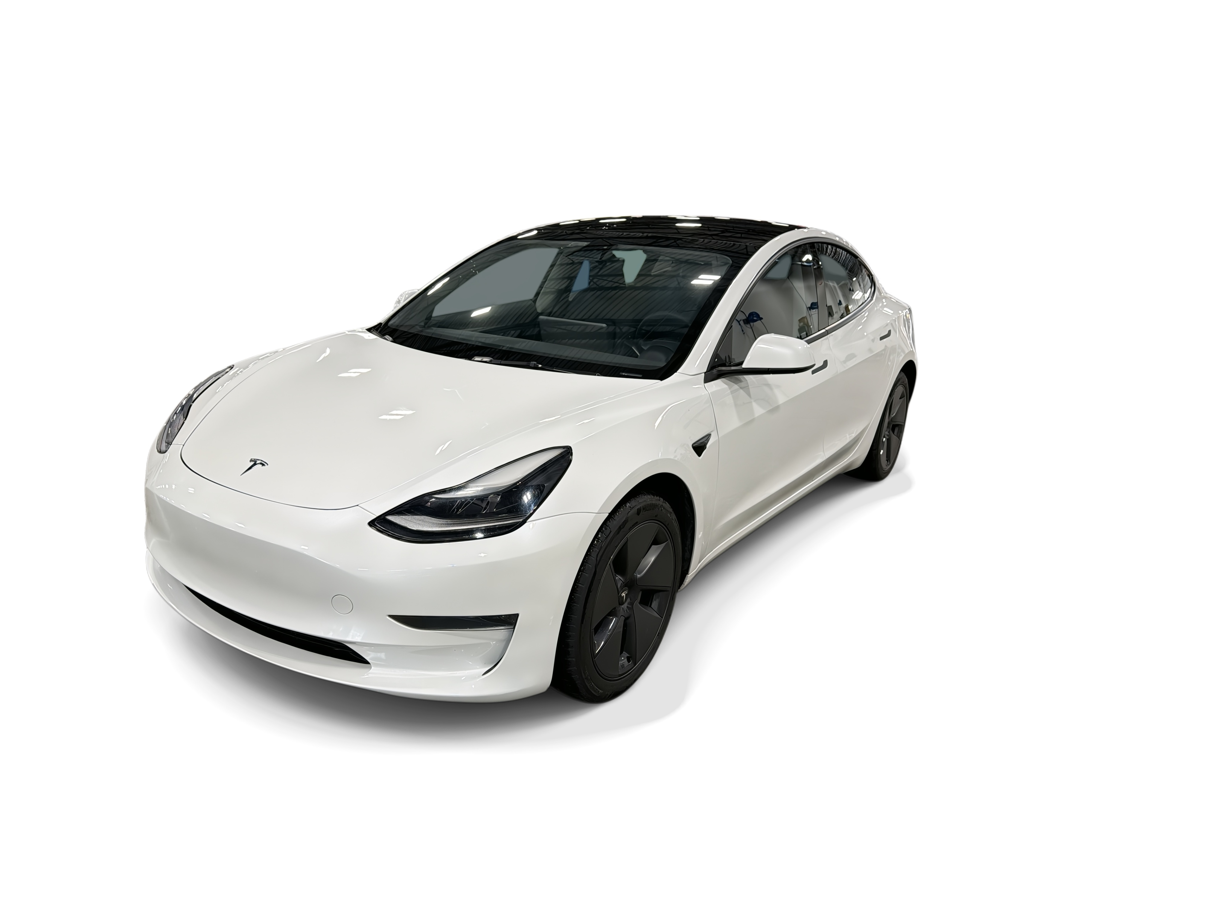 tesla model 3 2023 5YJ3E1EA3PF558250 image tesla model 3 2023 5YJ3E1EA3PF558250 image